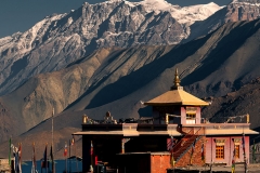 Day 14 Muktinath